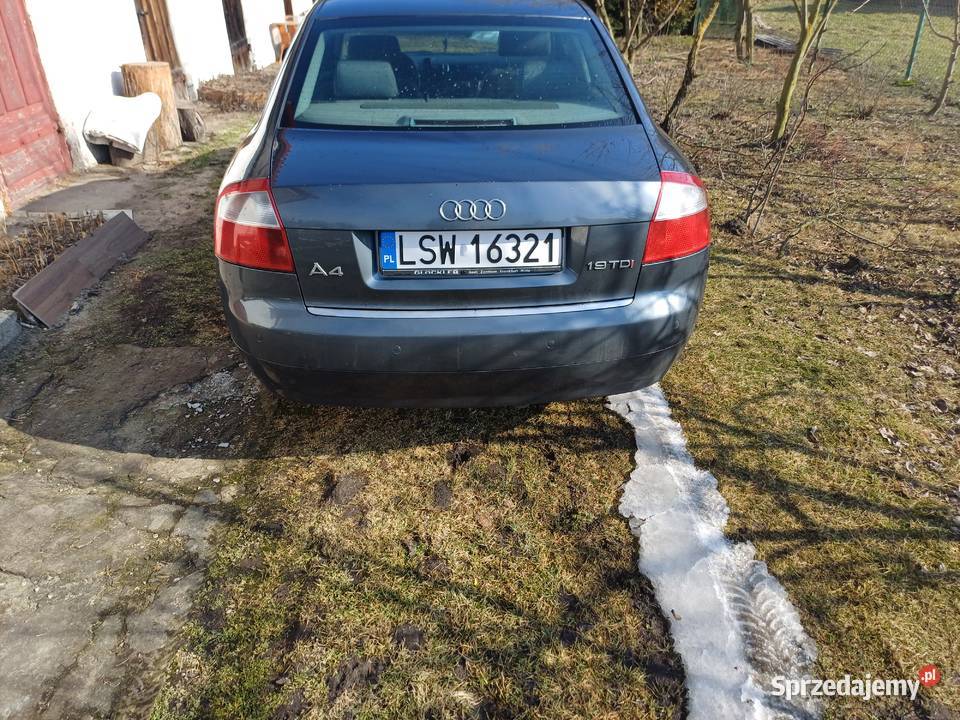 Audi lubelskie