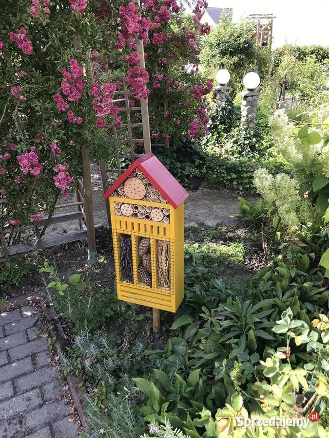 domek owadów 70 Sławno