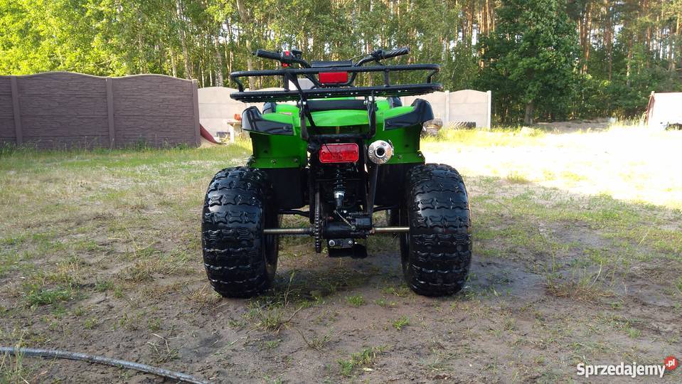 Quad chiński 1253 Wętfie