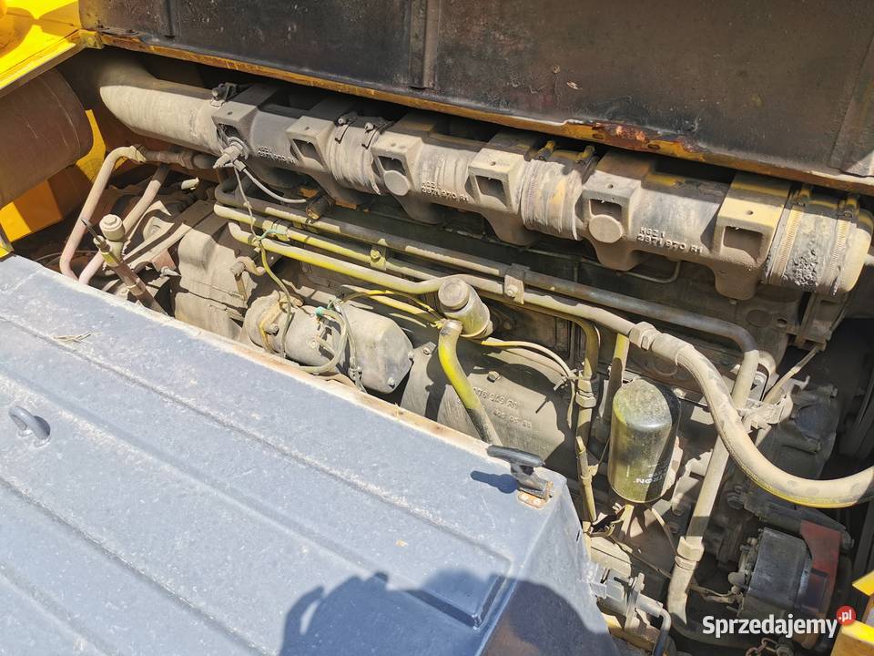 Ładowarka Hanomag 55d sprzedam