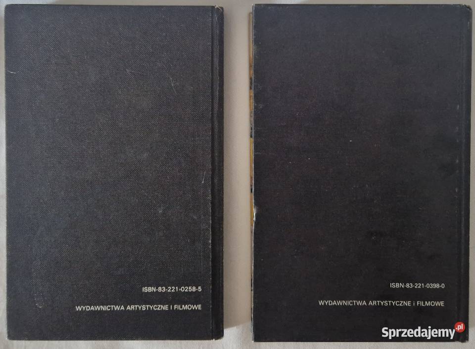 Impresjonizm Zdzisław Kępiński Posimpresjoniści sztuka, kultura i etnologia Warszawa