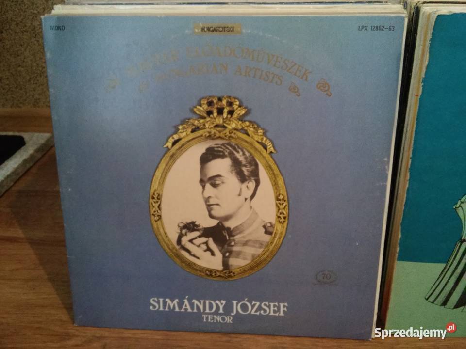 Płyty winylowe w transzach 10 na prezent mega Włocławek