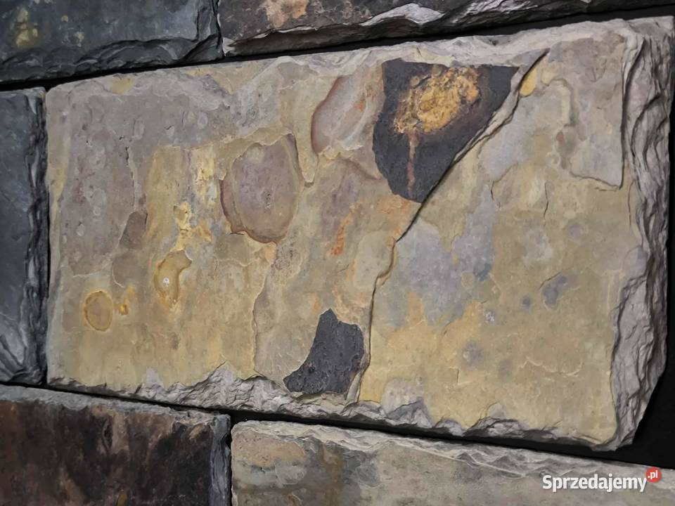 Płytki Łupek Multicolor naturalny 10x30x0813 Rumia