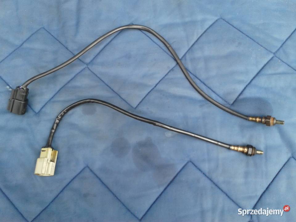 Harley wydech sonda lambda oryginał Rybnik