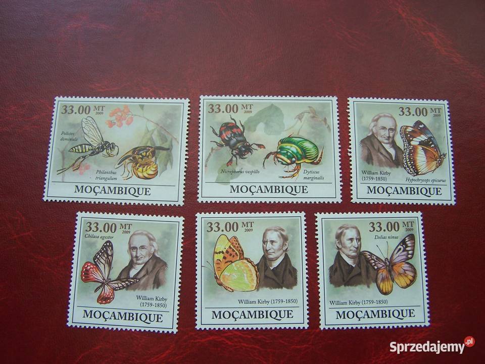 Mozambik 2009 MNH William Kirby Motyle Owady Tychy sprzedam