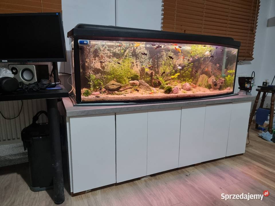 Akwarium panoramiczne 330l Komplet Wiekowo sprzedam
