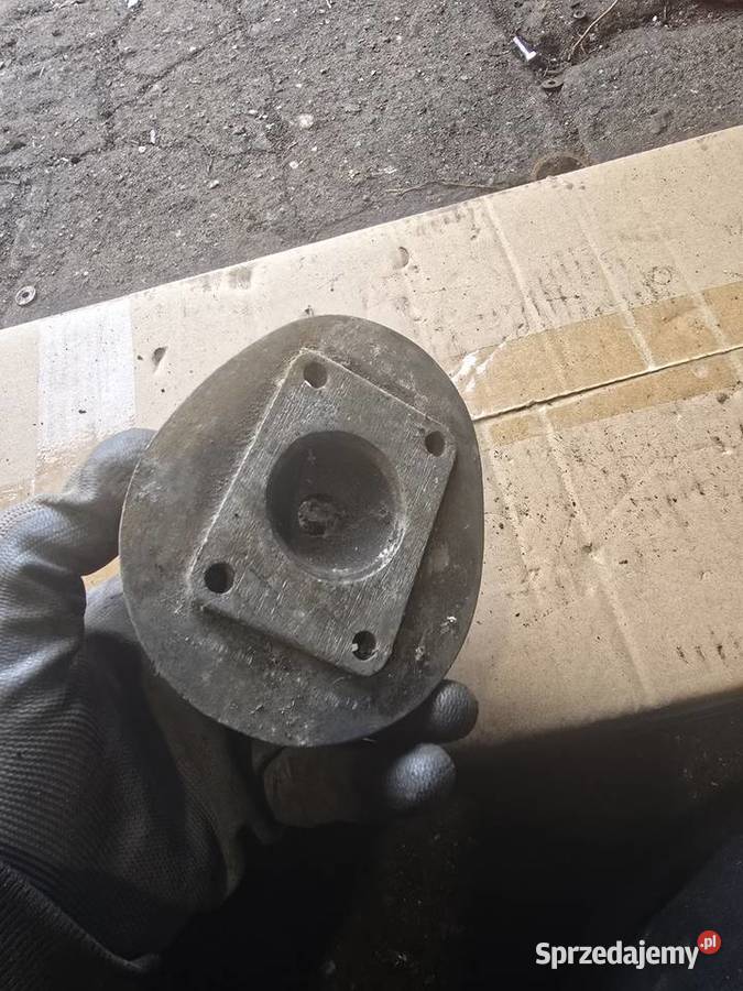 Glowica komar lubuskie