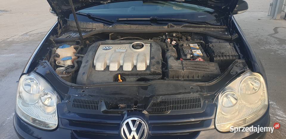 Golf 5 19 tdi Chip Tuning Gwint