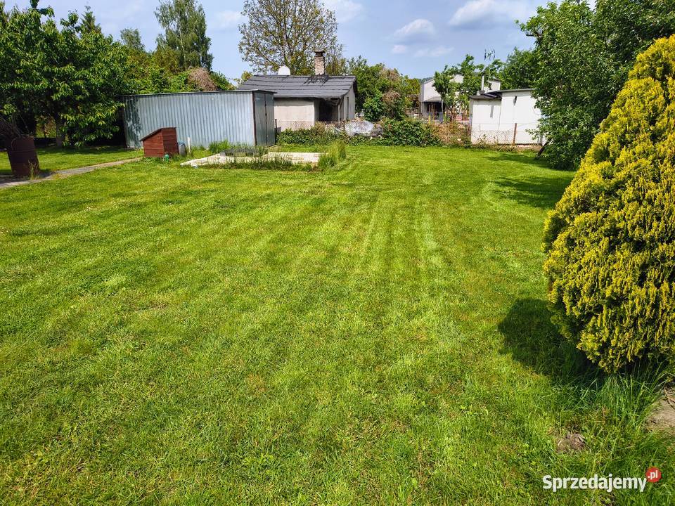 Działka ROD Zagroda 300m2 rekreacyjna Toruń sprzedam