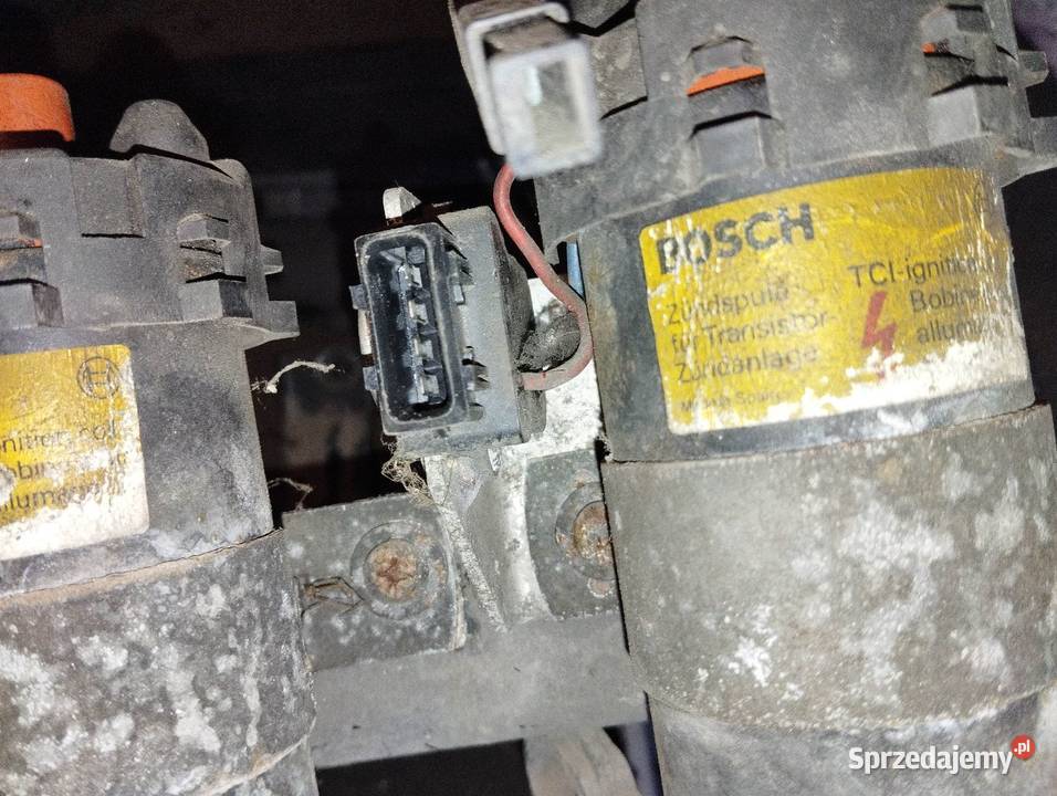 Cewki alfa164 20 ts Poznań sprzedam