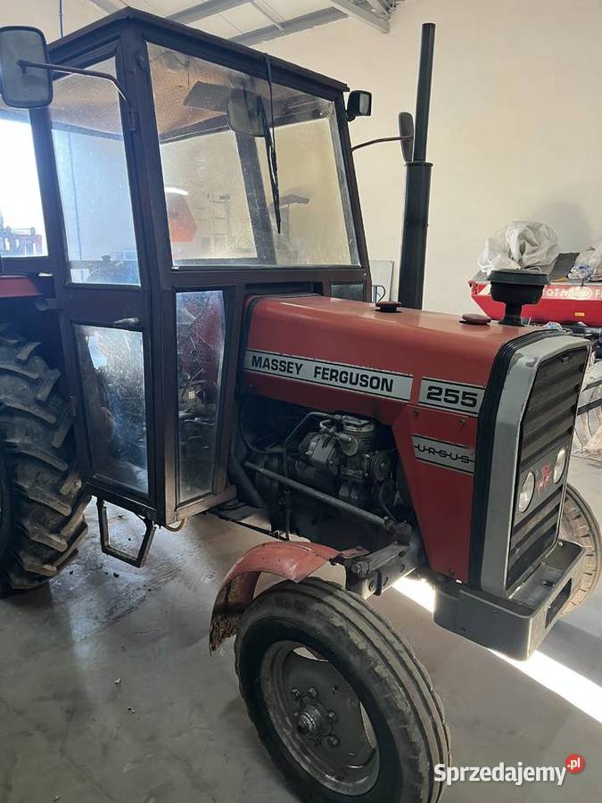 Massey Ferguson 255 Grabów nad Prosną
