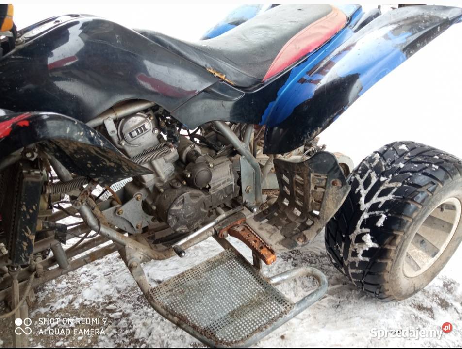 Bashan 250ccm Bashan Jabłonka