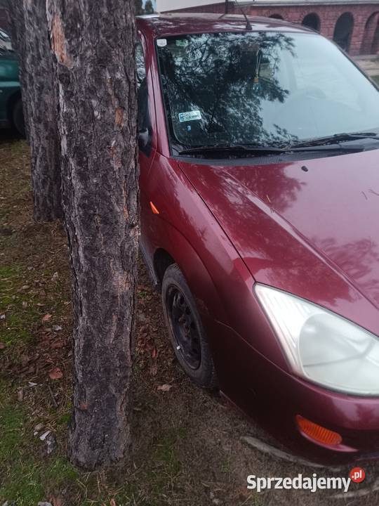 Ford focus benzyna lubelskie