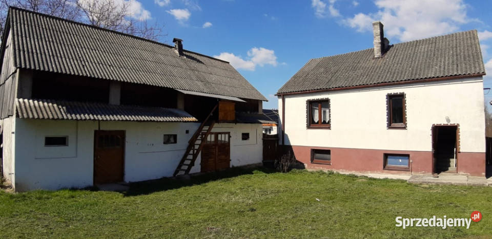 Dombud gospduża działka piwnica Dębno sprzedam
