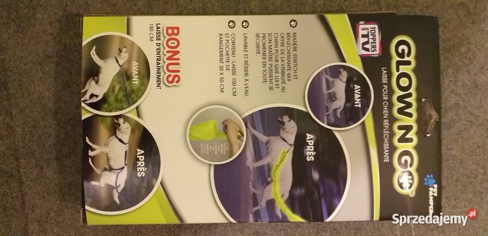 Pies Obroża Smycz Szelki z Fosforyzującą Bydgoszcz