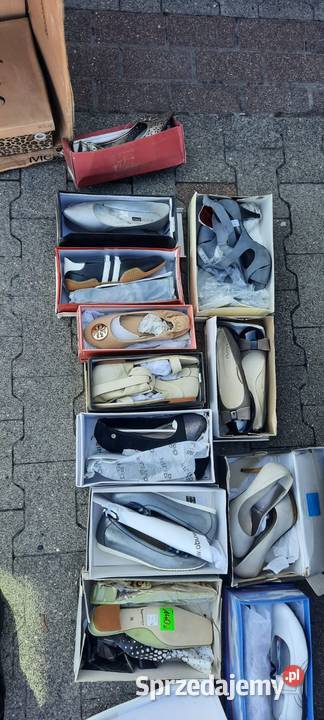 Buty damskie Poznań
