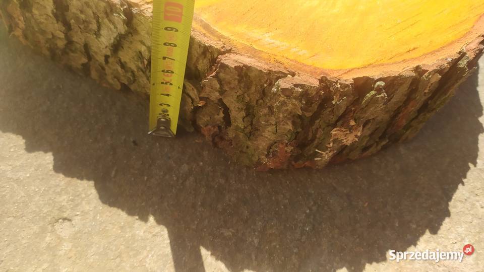 Plaster topoli Gołowierzchy sprzedam