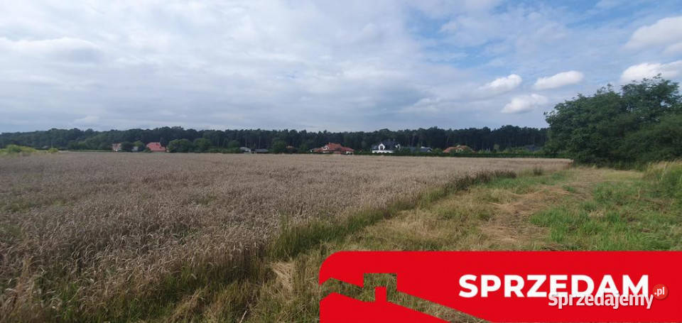 Piękna działka budowlana lasu 17arŚwidnik Sprzedaż
