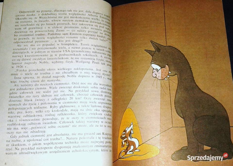 Dlaczego sól jest słona czyli odpowiedzi na lubelskie Chełm