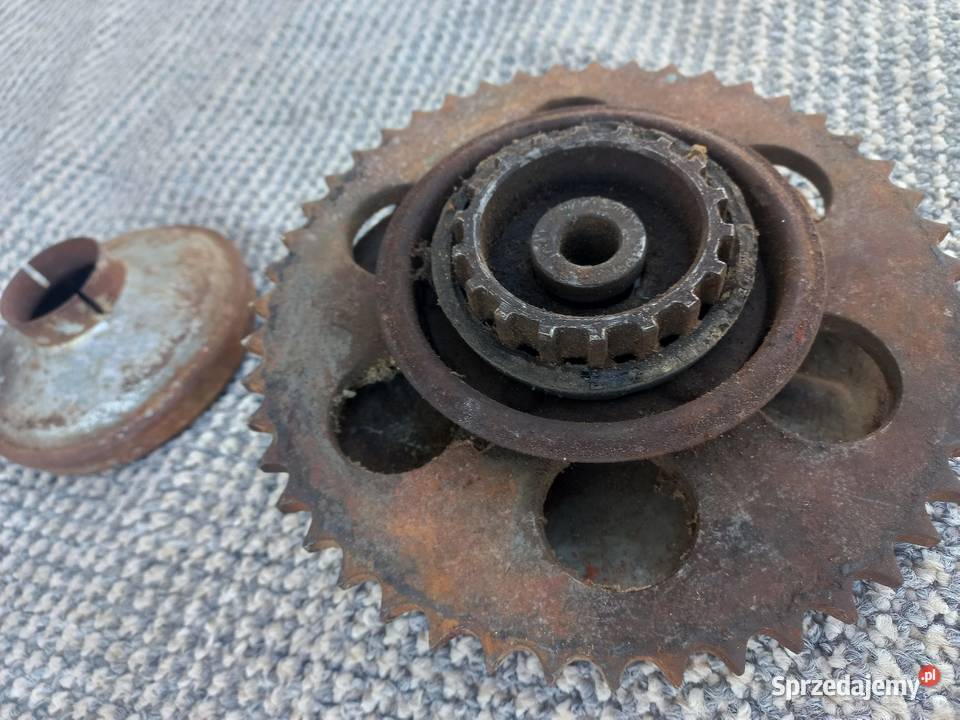 Zebatka tyl jawa 353 Kraków
