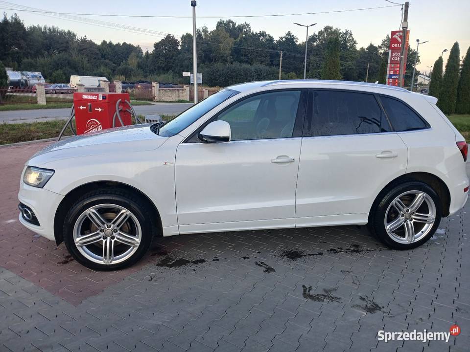 Audi Q5 Jędrzejów