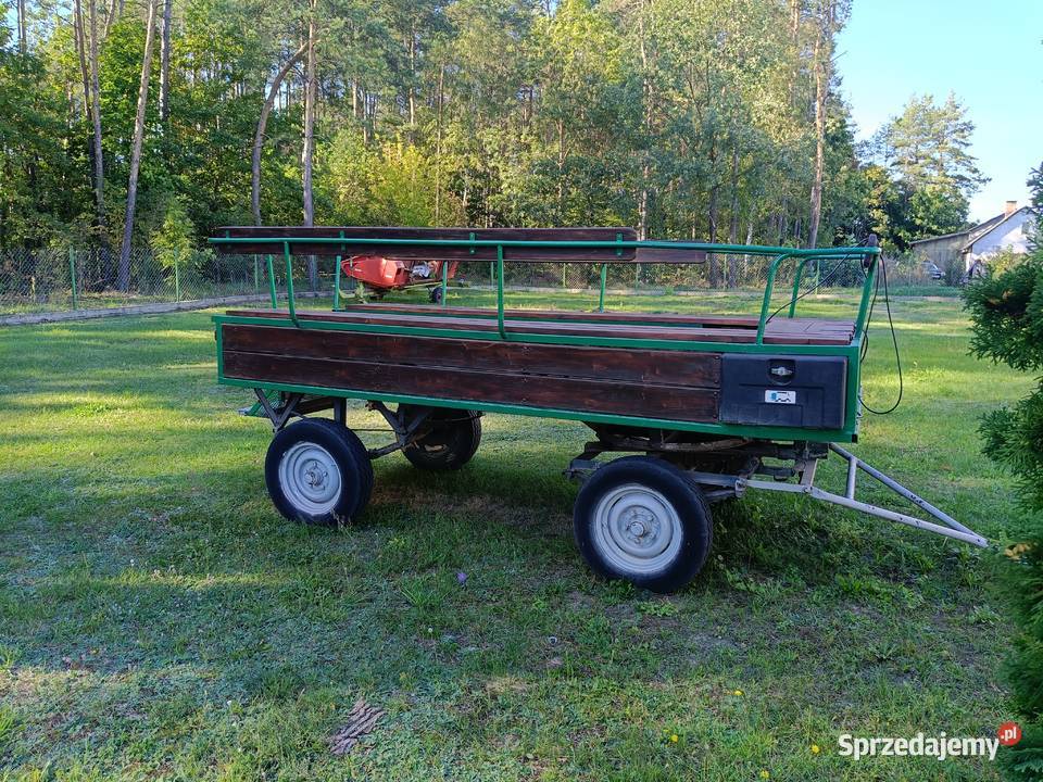 Bryczka konna powóz dorożka Mońki
