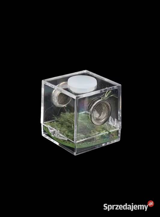 10 x micro terrarium akrylowe 35x35x35 z Pszczyna sprzedam