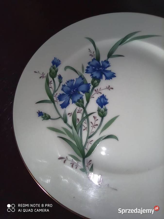 Filiżanka z takerzykiem deserowym Svancholm Gdańsk sprzedam