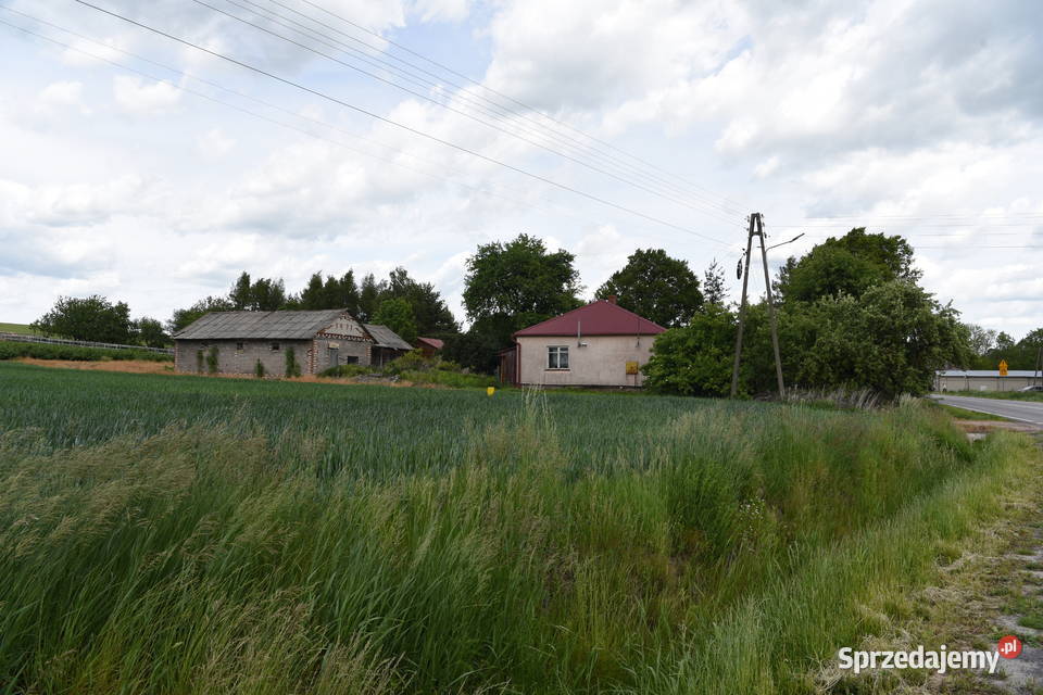 Dom z dużą działką siedlisko Udrycze-Koniec