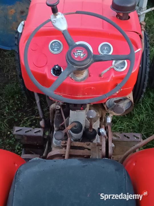 Massey Ferguson 135V sadownik