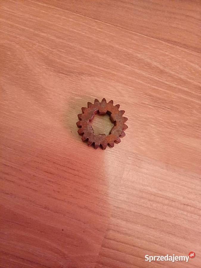 Koło zębate 19z shl m11 Świdnica Polska