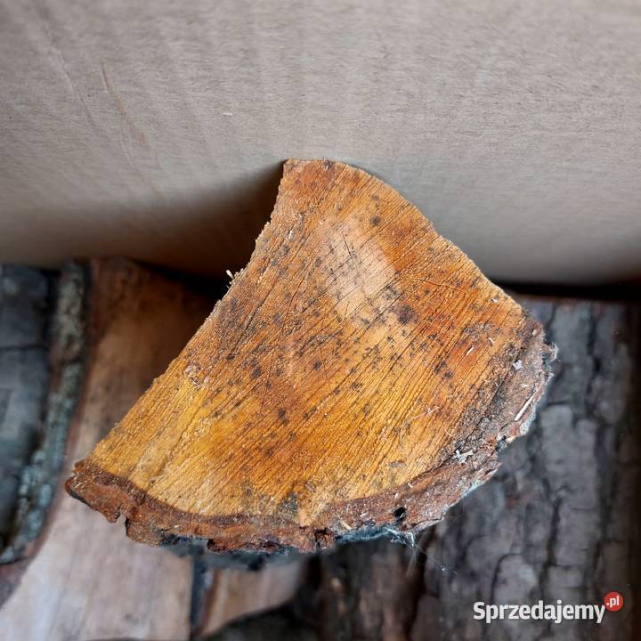 Drewno wiśnia olszyna do wędzenia podlaskie Łapy