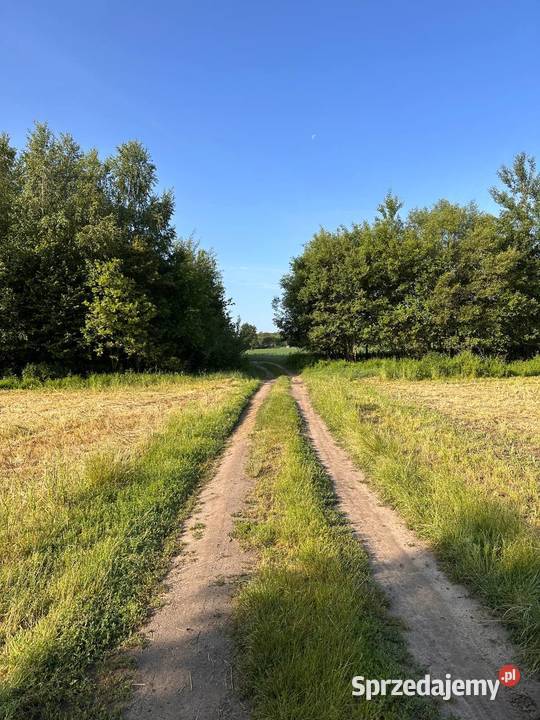 Działka z możliwością zabudowy Sprzedaż Nieruchomości Rudawica