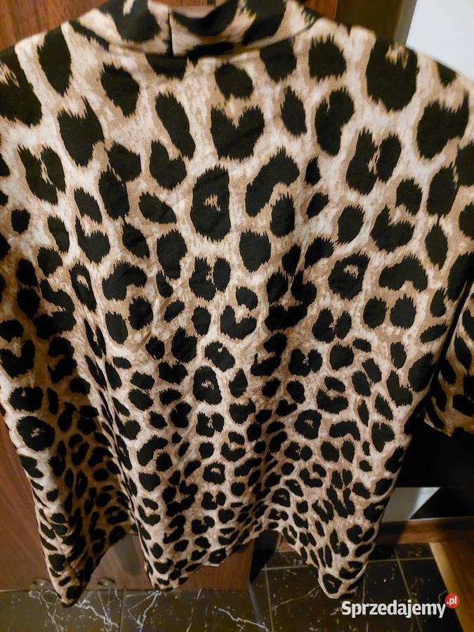 Panterka letni kpl szorty i wdzianko ML dolnośląskie Wrocław