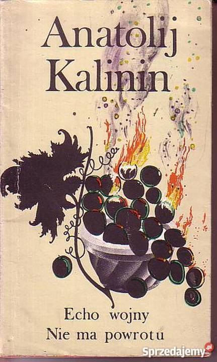 0411 ECHO WOJNY NIE MA POWROTU ANATOLIJ KALININ Czyrna