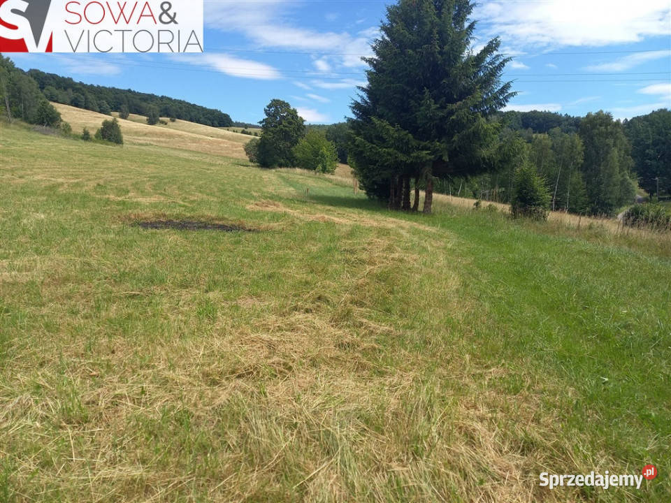 Ekspozycja południowo zach prąd już dostępny Głuszyca