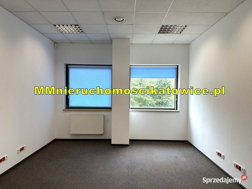 Magazyn do wynajęcia z regałami Katowice A4