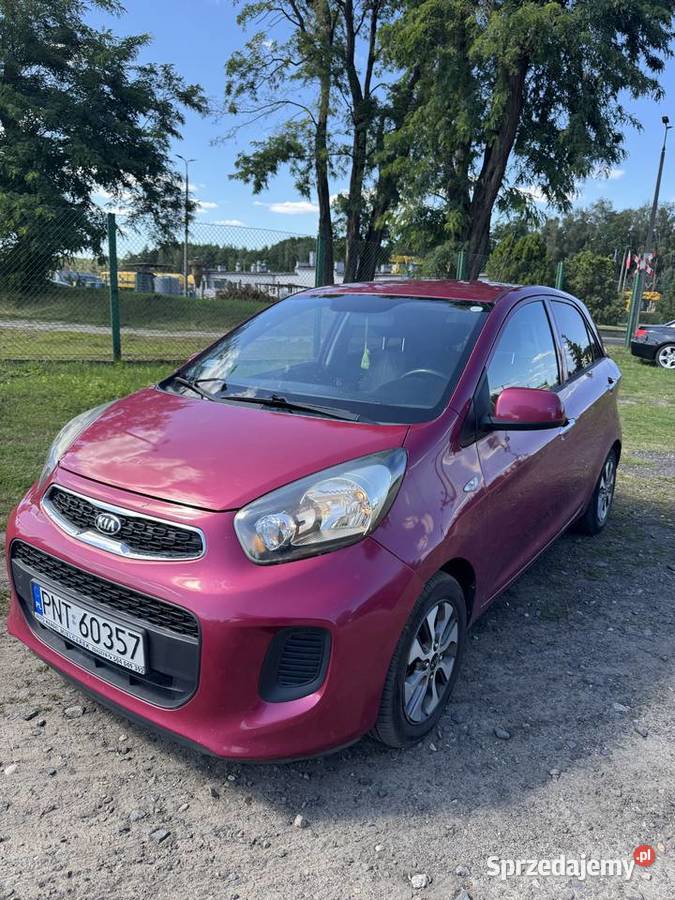 Kia Picanto 10 benzyna 66 2016 109 884 benzyna Zbąszyń