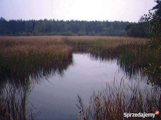 PROMOCYJNA Piekne działki rekreacja na Jurze polna Jaworznik