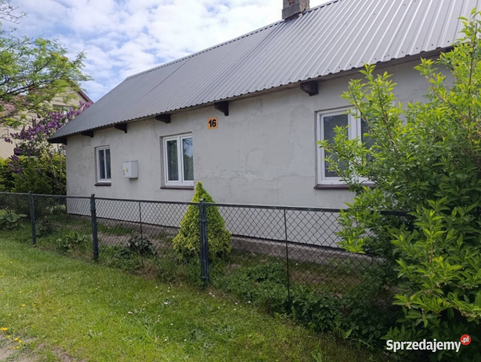 DOM NA WSI SAD ZIELEŃ PRZESTRZEŃ Sprzedaż