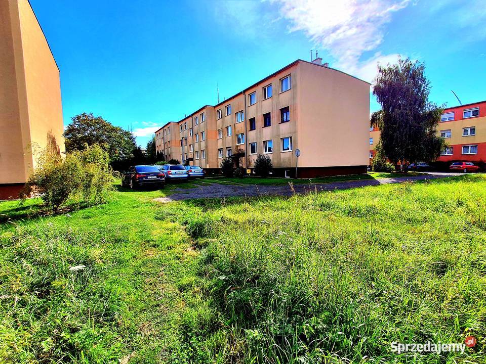 Mieszkanie 80m2 4 pokoje 7 Zgorzelca dolnośląskie Zgorzelec