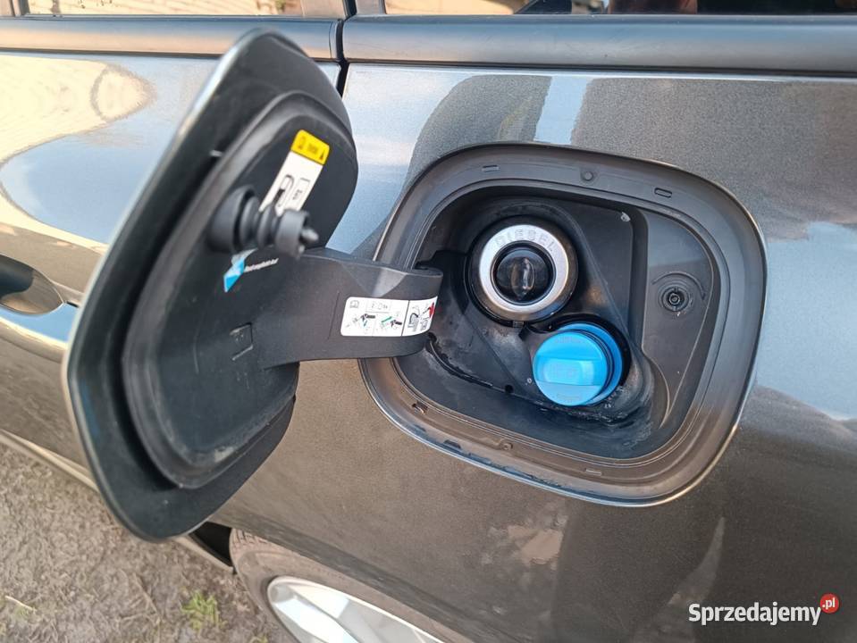 FORD FOKUS MK4 PRODUKCJI 2019 wersja STline automatyczna wielkopolskie Wronki