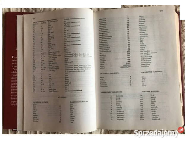 Zestaw słowników Fundacji Kościuszki słowniki Zbąszynek