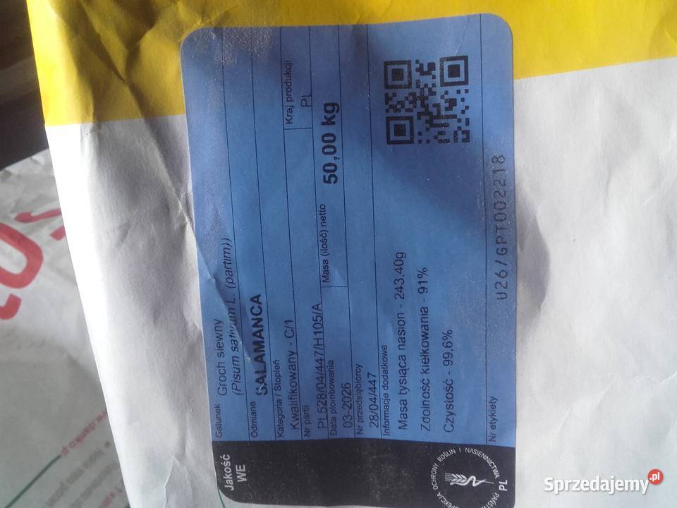 Groch siewny C1 Salamanca opolskie Strzelce Opolskie