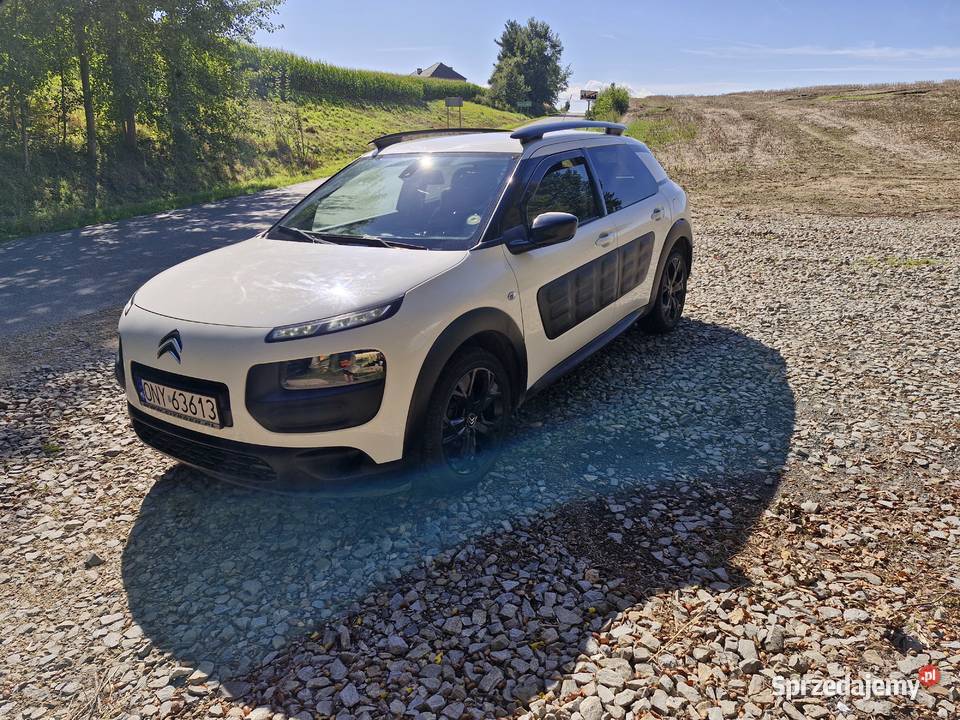 Citroen cactus z lpg i androidauto 1190cm3 opolskie Ścinawa Nyska sprzedam