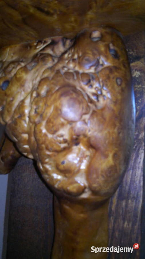 Półka z korzenia ręcznie robiona 25cm Szafy, regały, półki Dom i Ogród Warszawa