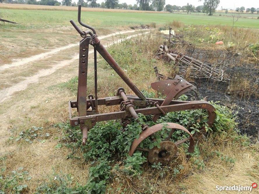 Pług 2 skibowy Złotniki Kujawskie