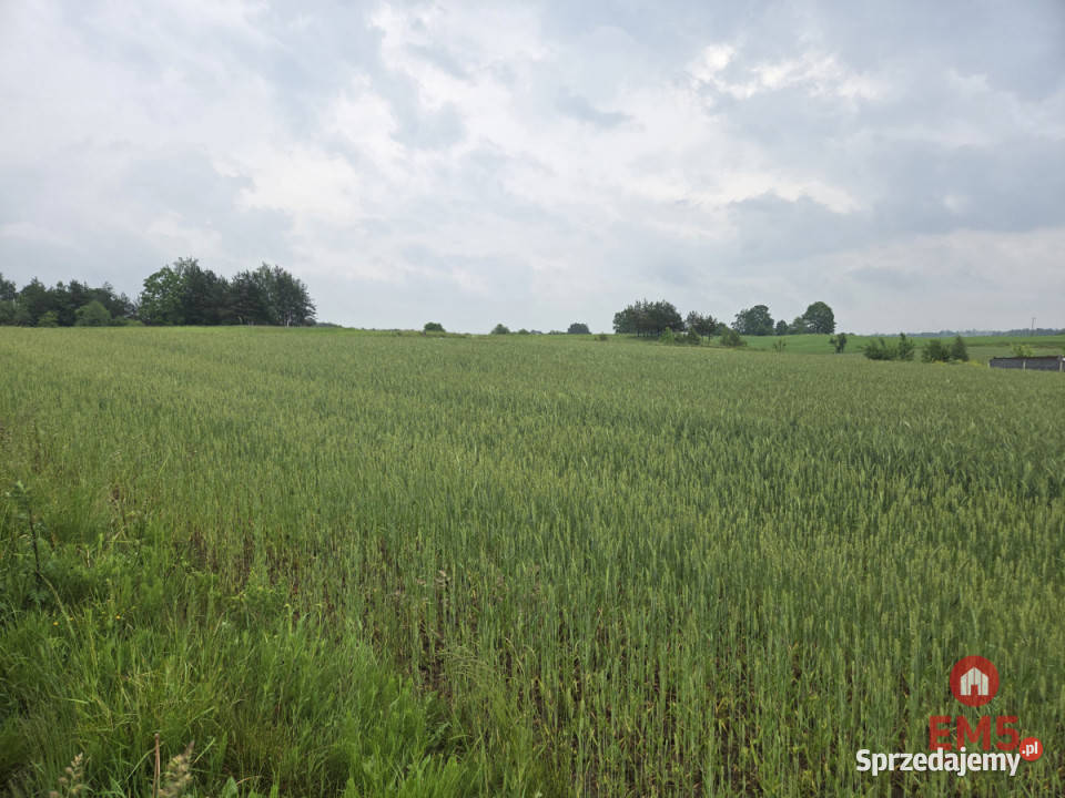 Sprzedam grunt Okuniowiec 025m2 40m