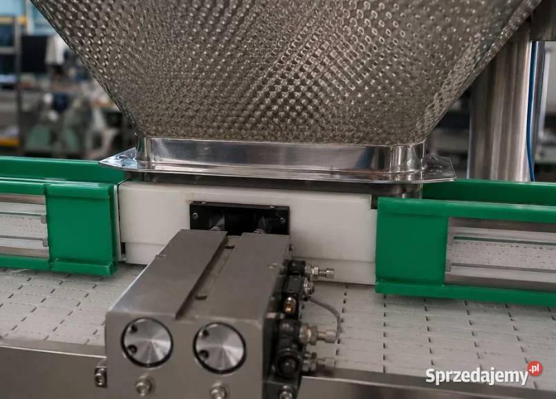 Transporter poziomy do linii produkcyjnych i Produkcja Międzylesie