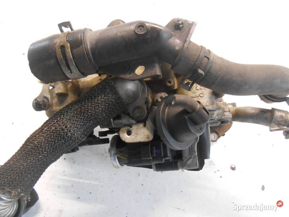 CHŁODNICZKA SPALIN EGR FORD FIESTA MK7 14 TDCI wielkopolskie